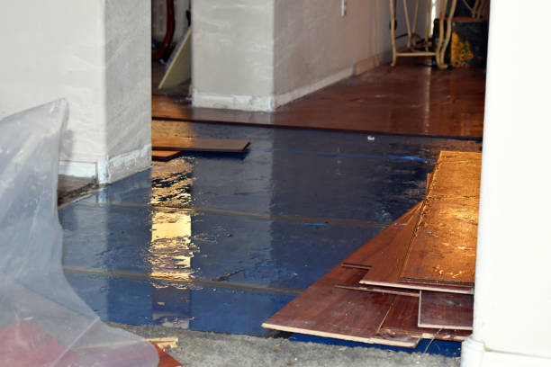 Professional Water Extraction technician working in Minden City, MI